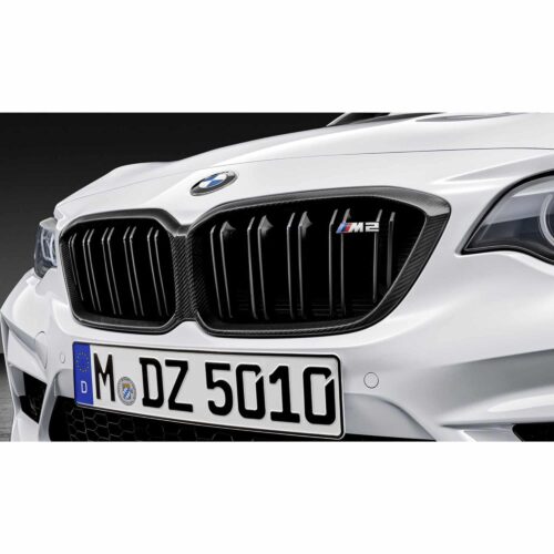 PaddleShifterz-Carbon-fiber-fron-grill-BMW-M2-51712453944-1