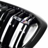 OEM BMW M Performance Carbon Fiber Grille - X3M – view 8