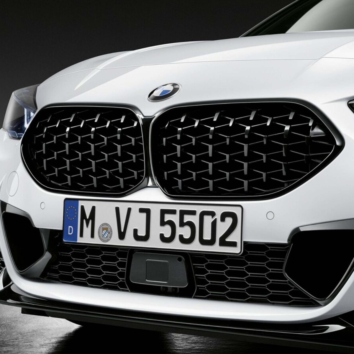 PaddleShifterz OEM BMW M Performance 51135A39378 F44 Wabengrill vorne