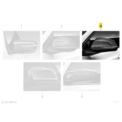 OEM BMW Carbon fiber mirror caps - 51162466673, 51162466674
